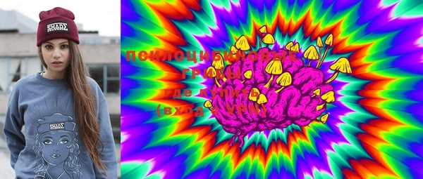марки lsd Инта