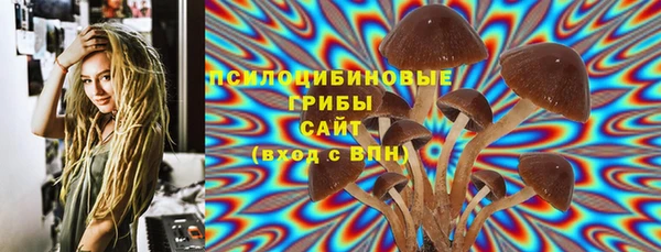 соль курить ск Каменка