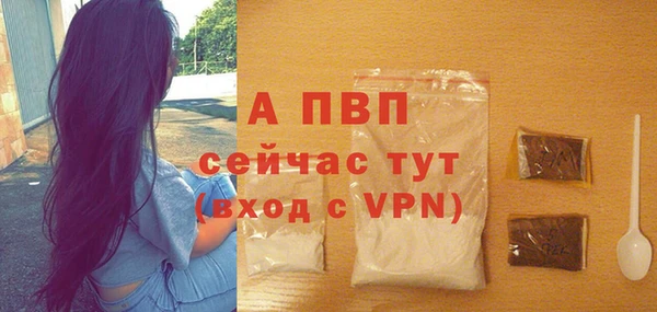 спиды Инсар