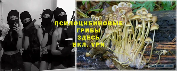 спиды Инсар