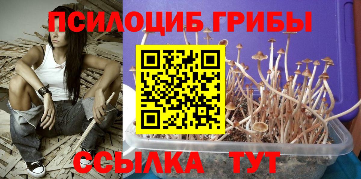 Галлюциногенные грибы прущие грибы Сызрань