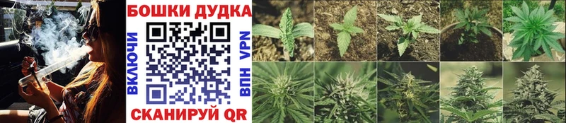 Бошки марихуана VHQ  Сызрань 